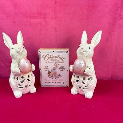 Lot H 917 LED Bunny Decor Figurines
