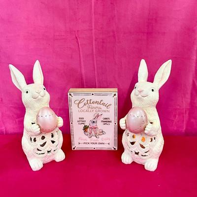Lot H 917 LED Bunny Decor Figurines