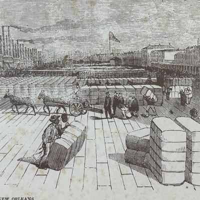“The Levee at New Orleans” Framed Print