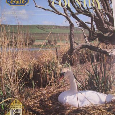 4 David Winter Collectors Guild Magazines 1993