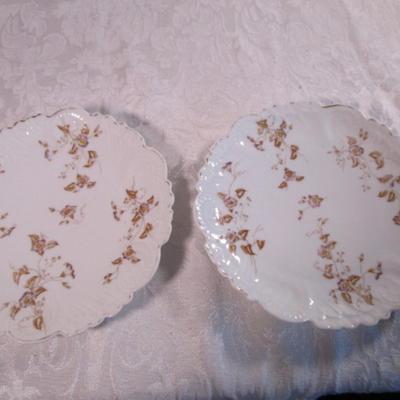 2 decorative plates with morning glory & ivy
