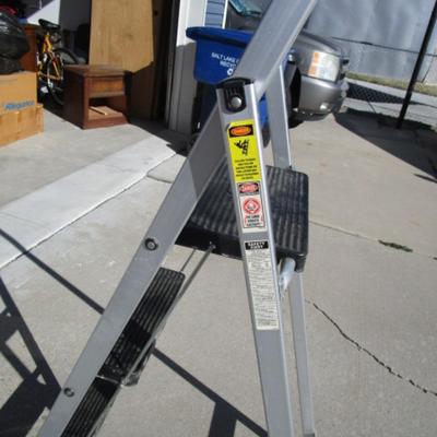 Skinny Mini 4-Step ladder