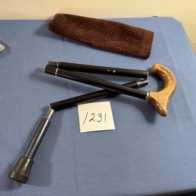 Jointed Cane