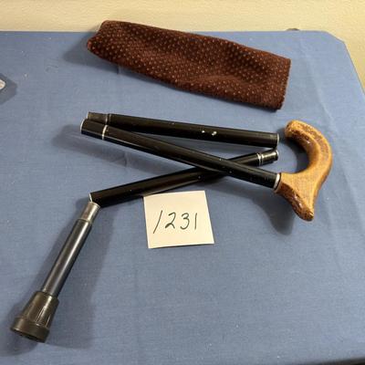 Jointed Cane