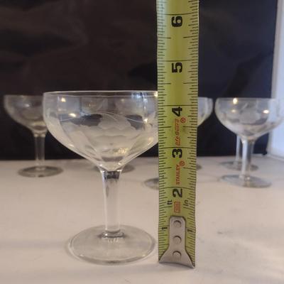 Etched Glass Champagne Coupe/Sherbet Glasses- 7 Piece