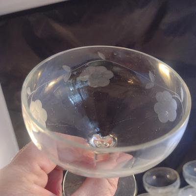 Etched Glass Champagne Coupe/Sherbet Glasses- 7 Piece