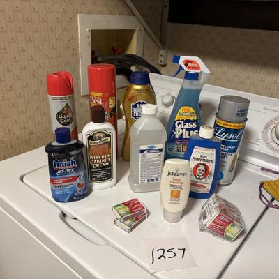 Household Lot