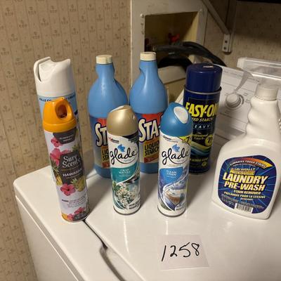 Household Lot
