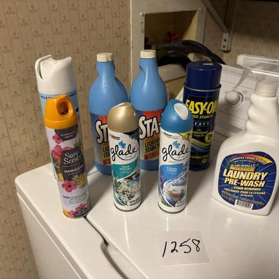 Household Lot