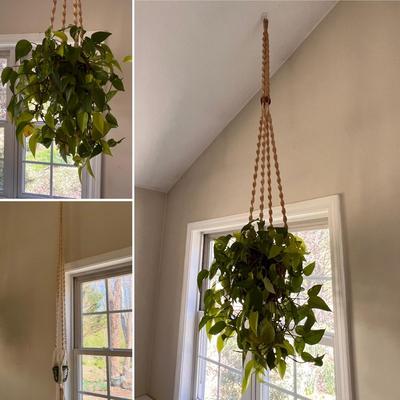 Macrame Hanging Potted Plants (SR-RG)
