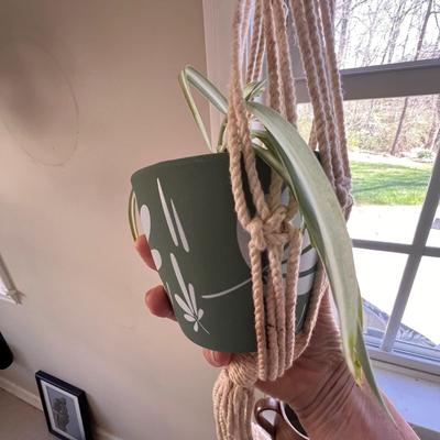 Macrame Hanging Potted Plants (SR-RG)