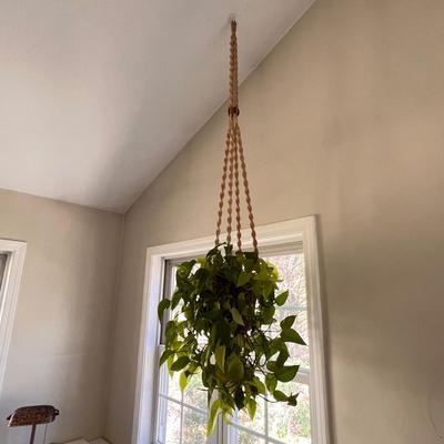 Macrame Hanging Potted Plants (SR-RG)