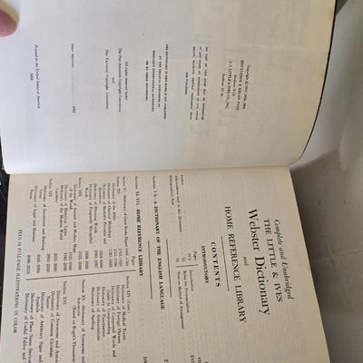 Webster dictionary
