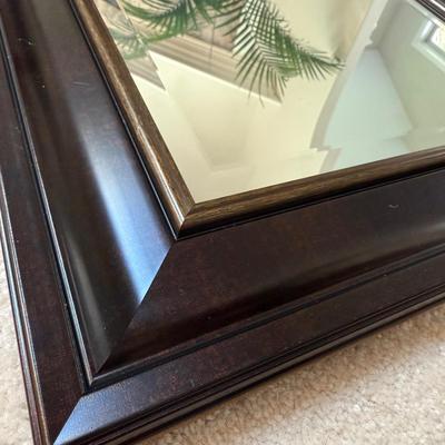 Two Rectangular Kirkland's Mirrors (LR-BM)