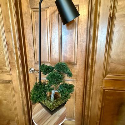 Decor - Black floor lamp and bonsai