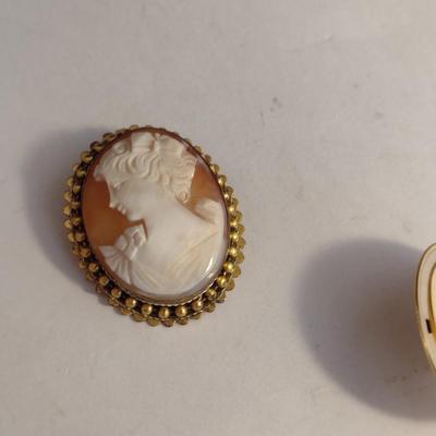 Collection of Cameo Design Brooches, Pendants, Scarf Clips (#7)