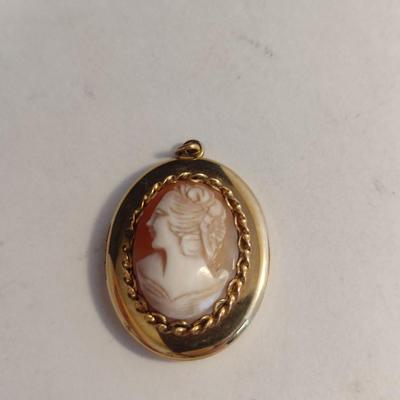 Collection of Cameo Design Brooches, Pendants, Scarf Clips (#7)