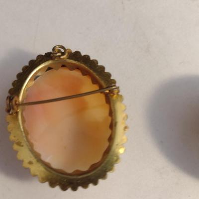Collection of Cameo Design Brooches, Pendants, Scarf Clips (#7)