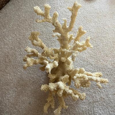 Carved Wooden Pelican, Seashells & More (LR-MG)