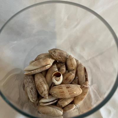 Carved Wooden Pelican, Seashells & More (LR-MG)