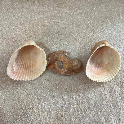 Carved Wooden Pelican, Seashells & More (LR-MG)