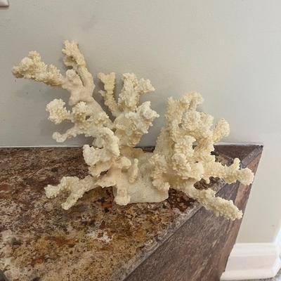 Carved Wooden Pelican, Seashells & More (LR-MG)