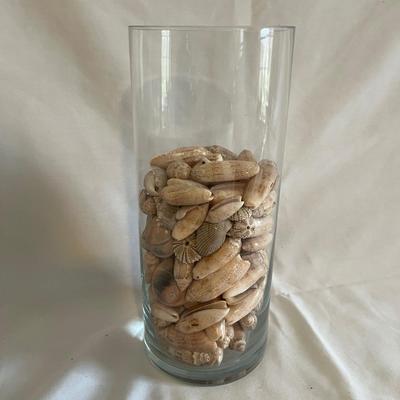 Carved Wooden Pelican, Seashells & More (LR-MG)