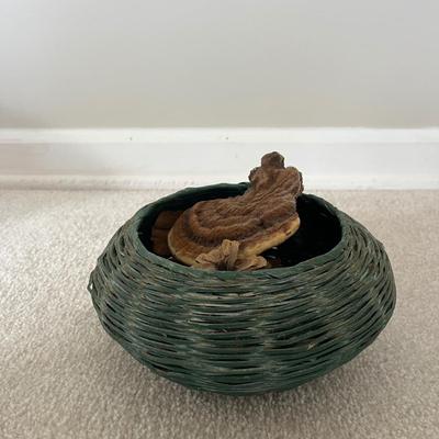 Nature Inspired Home Decor (SR-MG)
