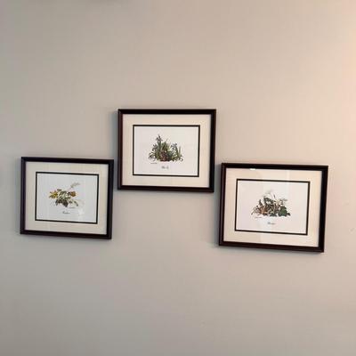 Sallie Ellington Middleton (Asheville Artist) Framed Prints (SR-RG)