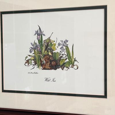 Sallie Ellington Middleton (Asheville Artist) Framed Prints (SR-RG)