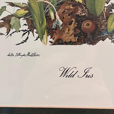Sallie Ellington Middleton (Asheville Artist) Framed Prints (SR-RG)