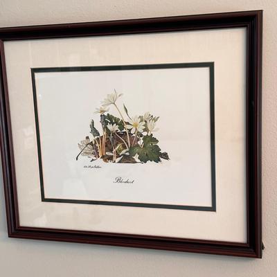Sallie Ellington Middleton (Asheville Artist) Framed Prints (SR-RG)