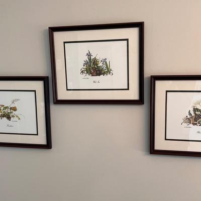 Sallie Ellington Middleton (Asheville Artist) Framed Prints (SR-RG)