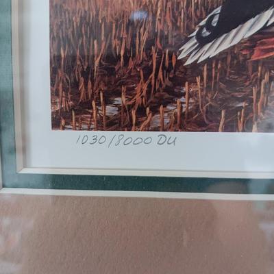 SIGNED 'MILLETTE" DUCKS UNLIMITED STAMP AND FRAMED PICTURE PLUS A VINYL ALBUM