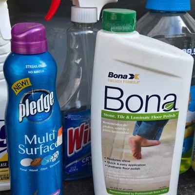 Large Lot of Cleaning Supplies