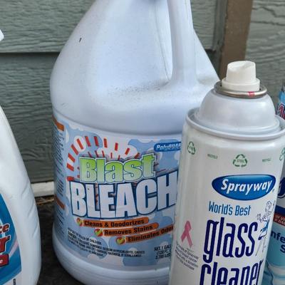 Large Lot of Cleaning Supplies