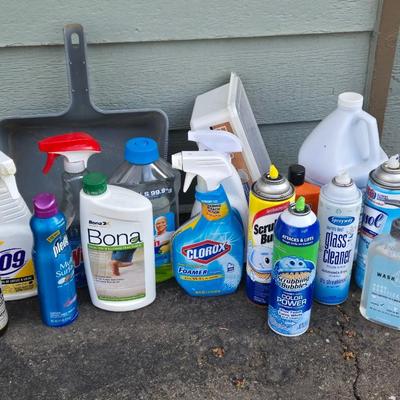 Large Lot of Cleaning Supplies