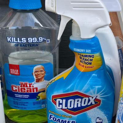 Large Lot of Cleaning Supplies