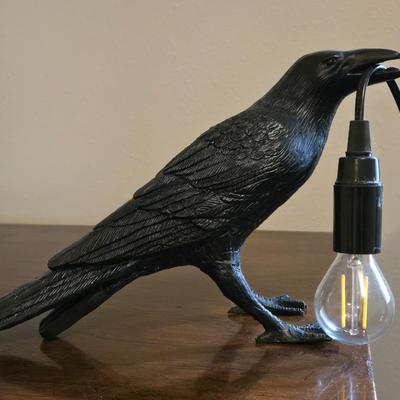 Raven Holding the Light Lamp