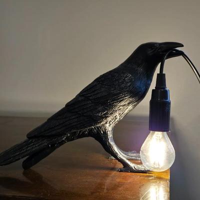 Raven Holding the Light Lamp