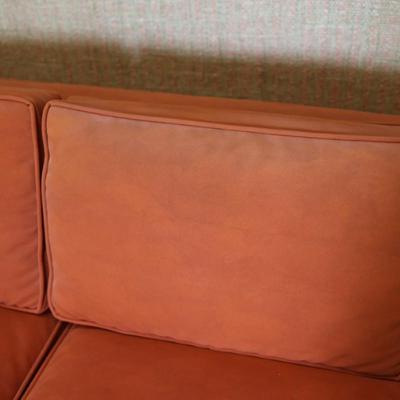 Mid Century Sofa (See Details)