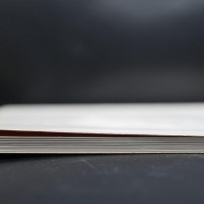 CYBIS Fine Porcelain Sculpture with Book Included