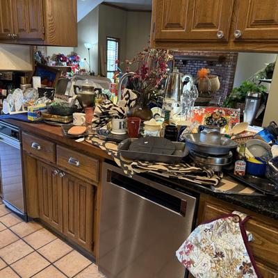 Lot 9: Right Kitchen Counter Selection