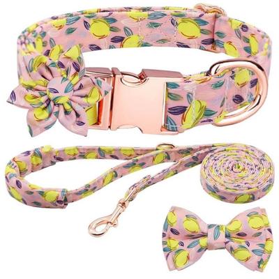 Size Small Pink & Yellow Lemon Printed Small Dog Collar w/Matching Leash, Bowtie & Flower Rose Gold Hardware