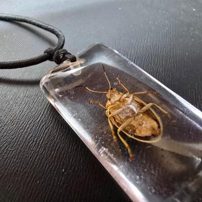 Ant and Beetle necklace