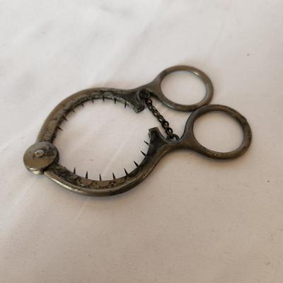 Egg Scissors