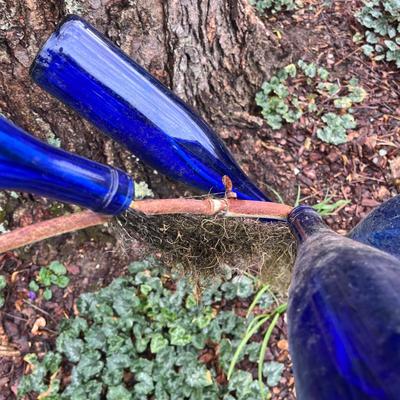 Blue Glass Bottles With Metal Tree (BY-MG)