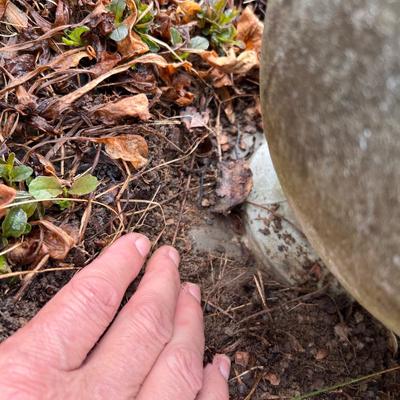 Decorative Cement Sphere on a Base & Plant Pot (FY-RG)