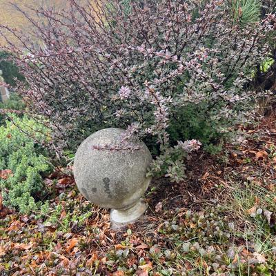 Decorative Cement Sphere on a Base & Plant Pot (FY-RG)