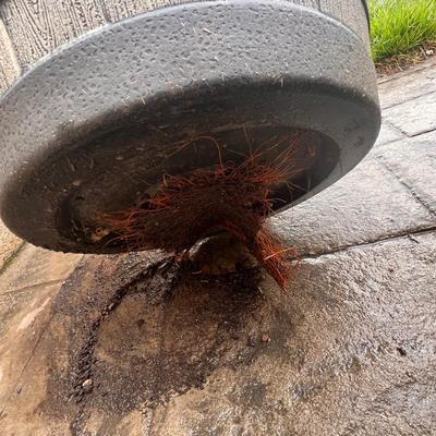 Whiskey Barrel Planters Plus Plant (FY-RG)
